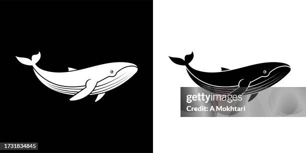 whale icon. - blue whale stock illustrations