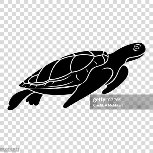 ilustrações de stock, clip art, desenhos animados e ícones de turtle icon. - tartaruga gigante