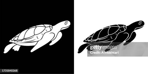 turtle icon. - turtle stock illustrations