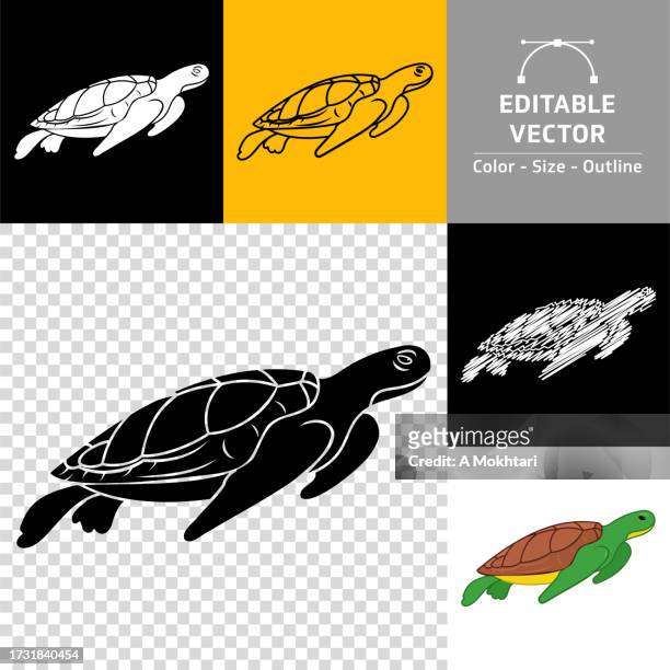 ilustrações de stock, clip art, desenhos animados e ícones de turtle icon. - tartaruga gigante