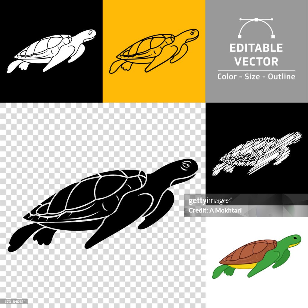 Turtle icon.