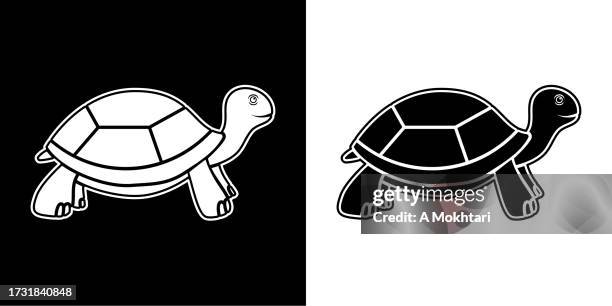 turtle icon. - tortoise stock illustrations