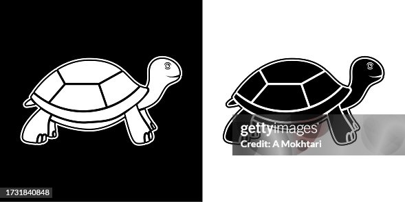 Turtle icon. Turtle icon.
