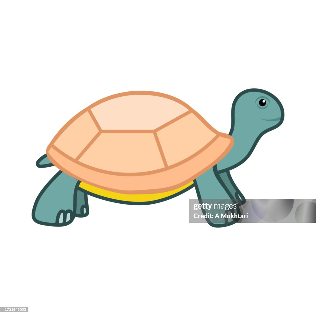Turtle illustration.
