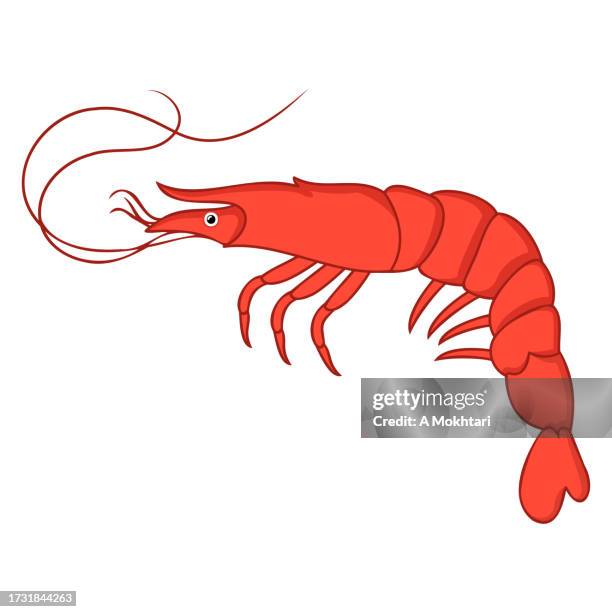 shrimp icon and illustration. - prawns stock illustrations