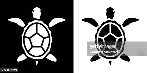 ilustraciones, imágenes clip art, dibujos animados e iconos de stock de icono de tortuga. - dermoquélidos