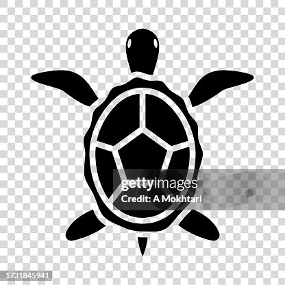 Turtle icon. Turtle icon.