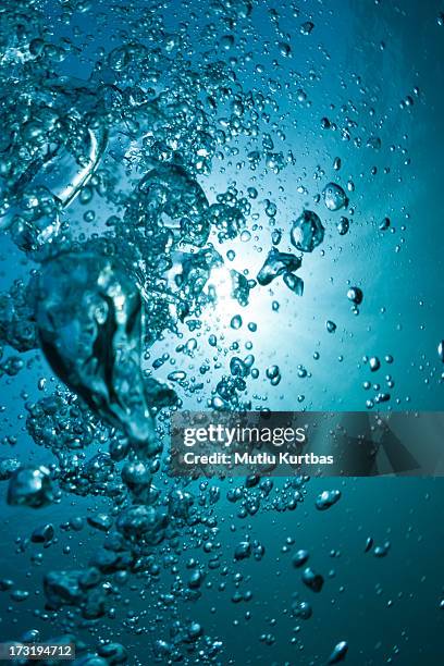 underwater - 2010 stock pictures, royalty-free photos & images