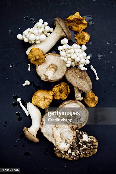 mushrooms - cantharellus cibarius stock pictures, royalty-free photos & images