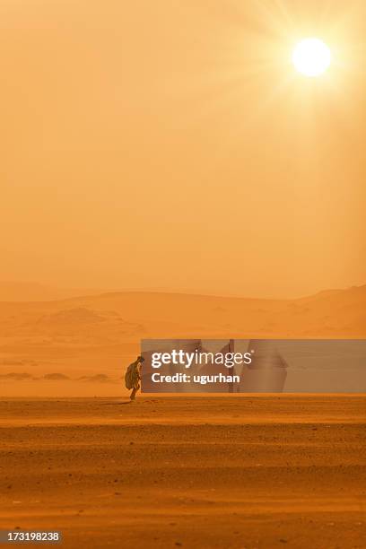 desert - sandstorm stock pictures, royalty-free photos & images