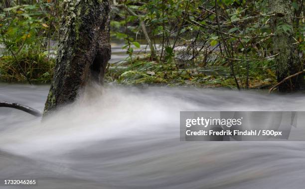 scenic view of waterfall in forest - vatten fotografías e imágenes de stock