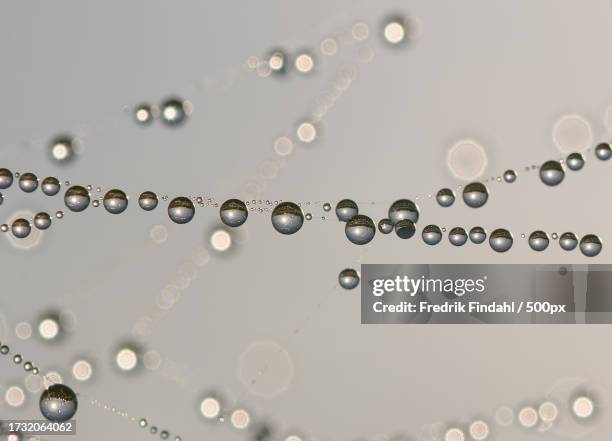 close-up of water drops on glass - närbild stockfoto's en -beelden