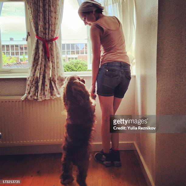 young woman with american cocker spaniel dog - spaniel stock-fotos und bilder