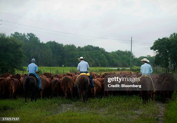 Adams Ranch Adams Ranch Inc Photos and Premium High Res Pictures - Getty Images