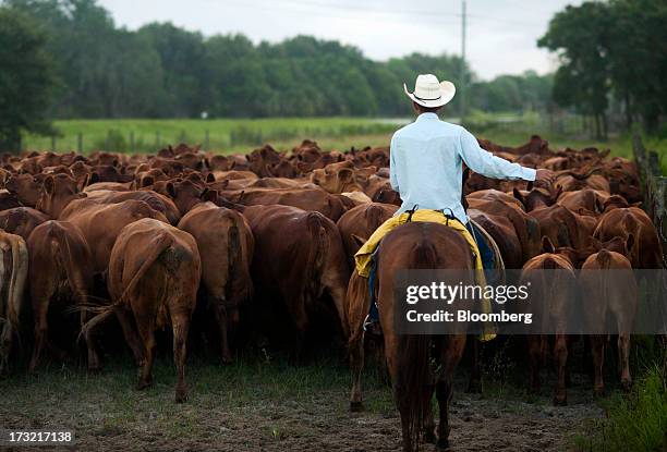 Adams Ranch Fl Adams Ranch Inc Photos and Premium High Res Pictures - Getty Images