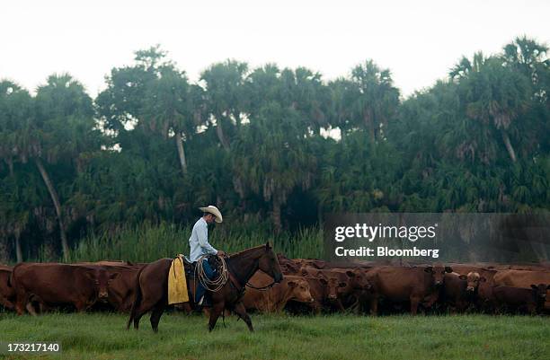Adams Ranch Fl 28 Adams Ranch Inc Stock Photos, High-Res Pictures, and Images - Getty ...