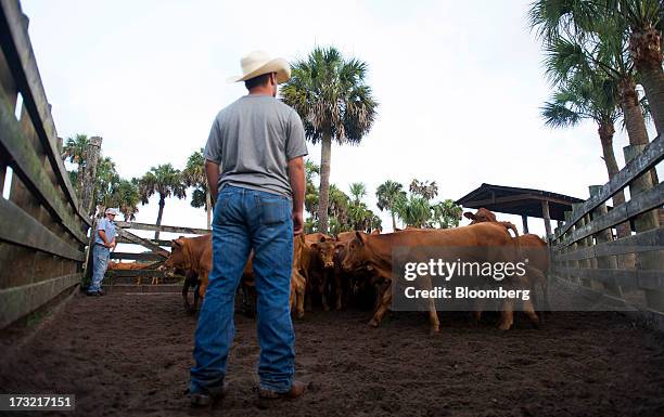 Adams Ranch Fl 28 Adams Ranch Inc Stock Photos, High-Res Pictures, and Images - Getty ...