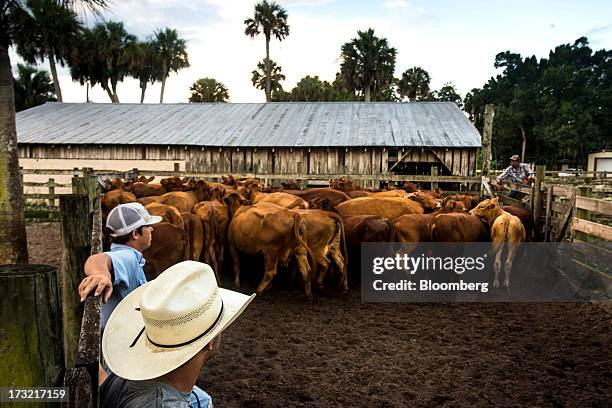 Adams Ranch 135 Florida Rancher Stock Photos, High-Res Pictures, and Images - Getty ...
