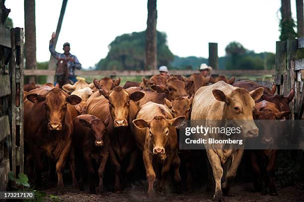 Adams Ranch Adams Ranch Inc Photos and Premium High Res Pictures - Getty Images