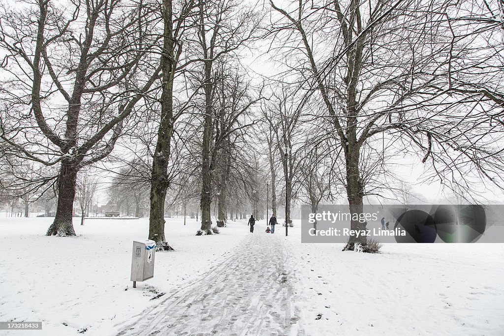 Snow Covered Park