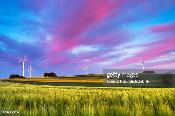 life's a journey - not a destination - rhineland palatinate stockfoto's en -beelden