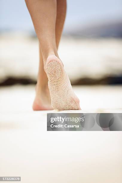 walking on sand - womens beautiful feet 個照片及圖片檔