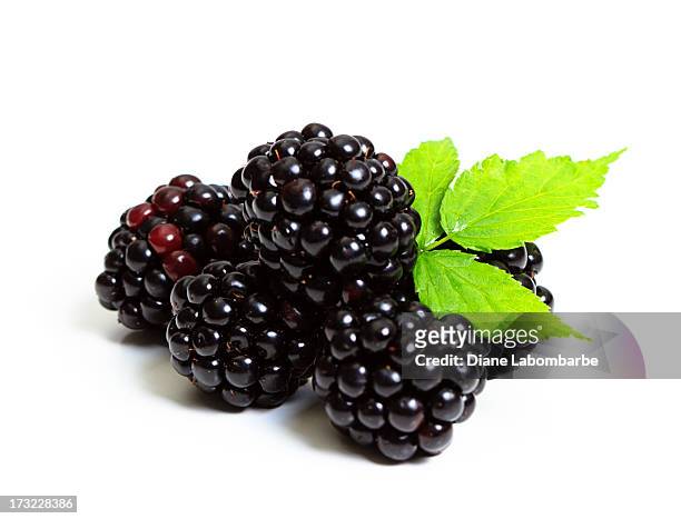 blackberries with leaf on white - bramen stockfoto's en -beelden