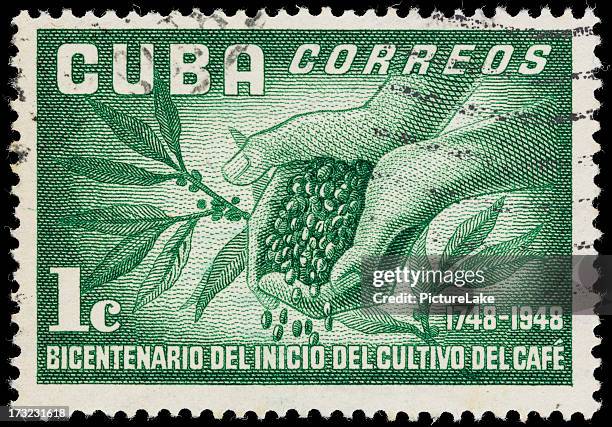 cuba coffee plant and beans postage stamp - cuba stamp stock pictures, royalty-free photos & images