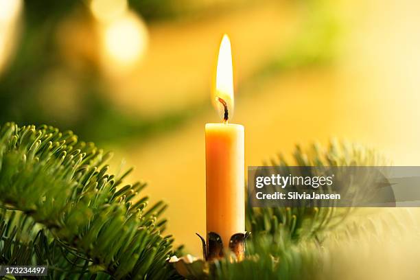 golden candle burinig in tree - christmas candle stock pictures, royalty-free photos & images