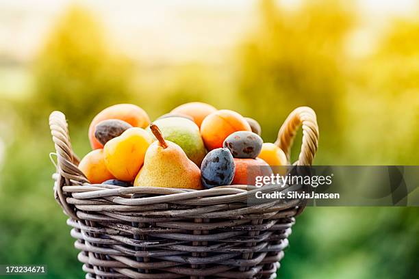 früchte im korb sommer im freien - pears stock-fotos und bilder