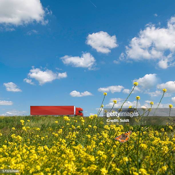 赤いトラックのオランダの風景 - 道端の草地 ストックフォトと画像