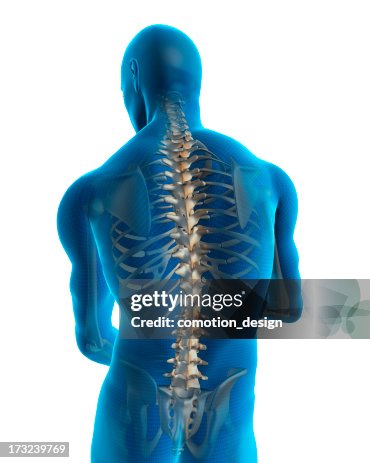 Subhuman Back Human Back High-Res Stock Photo - Getty Images