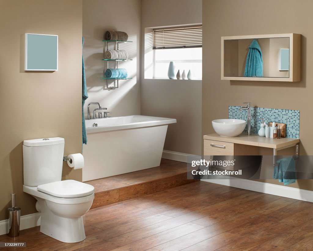 Interior of Modern bathroom