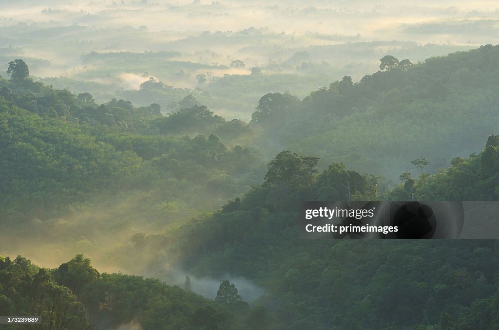 Beautiful sunrise at misty morning mountains .