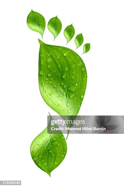 water drop on green footprint - water footprint droplet stock pictures, royalty-free photos & images