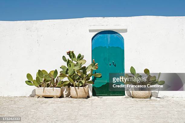 porta de entrada na ostuni, região de puglia itália - vegetação mediterranea imagens e fotografias de stock