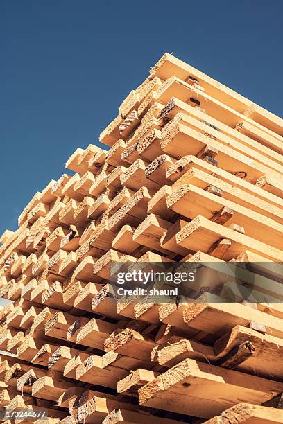 spruce framing - logging mill stock pictures, royalty-free photos & images