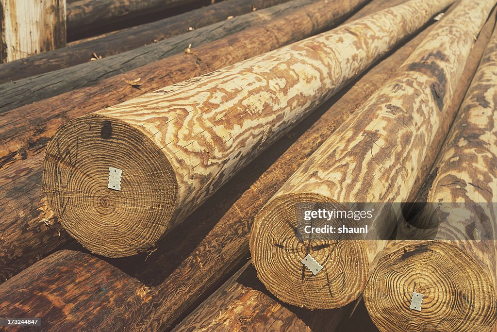 Telephone Poles
