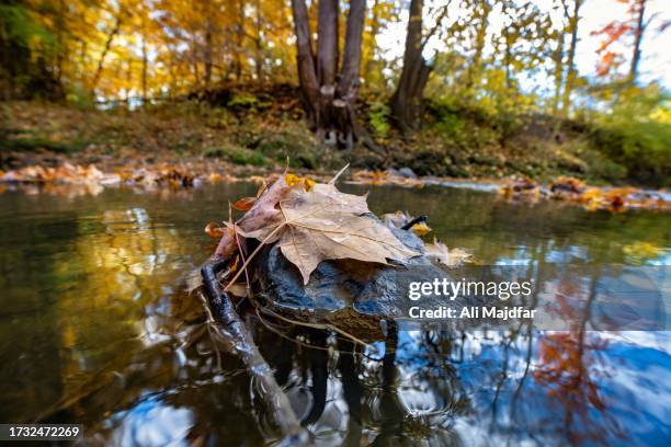 Ohio State Fall 312 Falls Of The Ohio State Park Stock Photos, High-Res Pictures, and ...