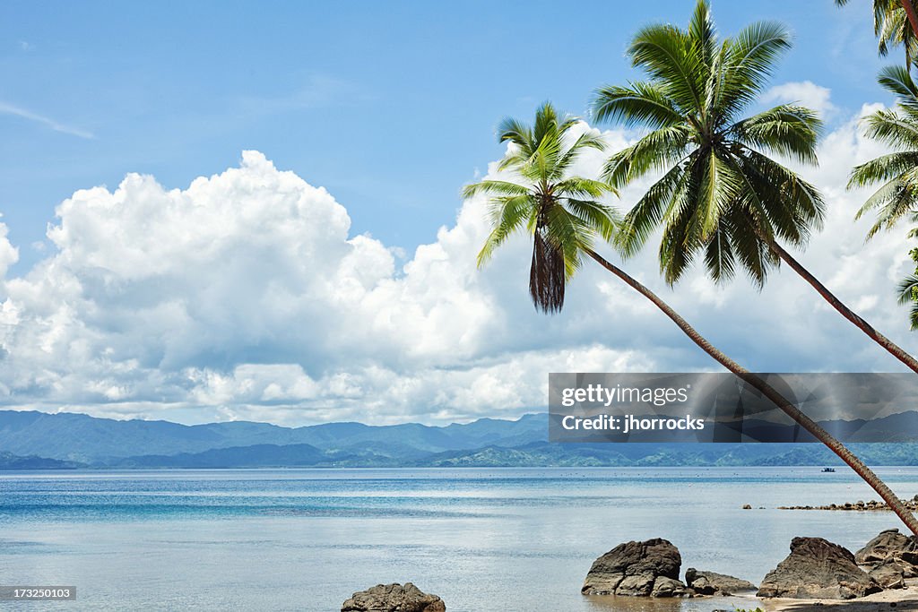 Tropical Beach