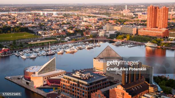 inner harbor waterfront of baltimore, md, in sunrise. yachts moored at piers. downtown district aerial view - rash field baltimore stock pictures, royalty-free photos & images