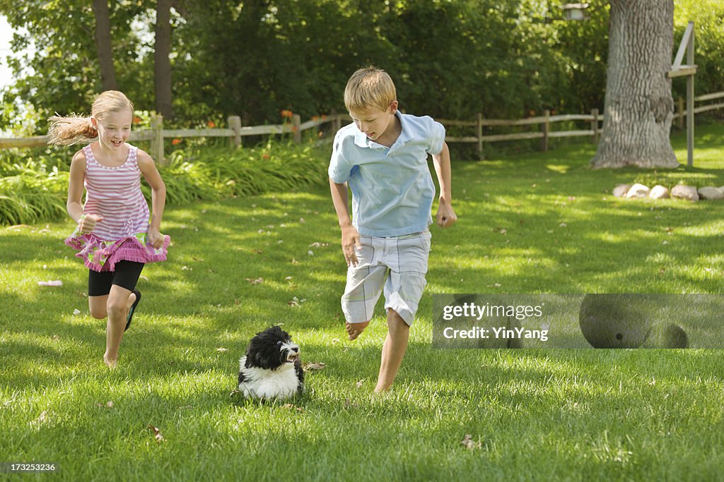 Children Playing with Family Pet Dog on the grass Lawn