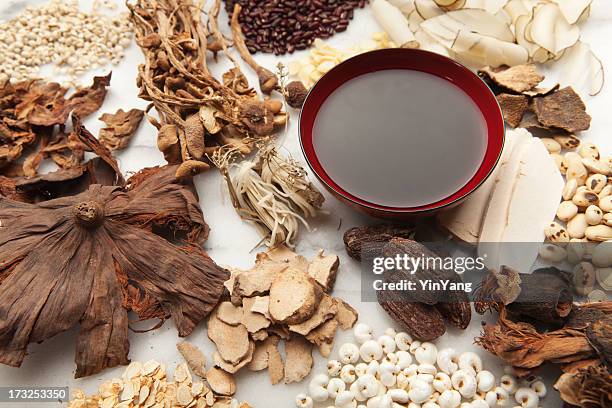 collection de plantes médicinales chinoises aux ingrédients et le tonic hz - médecine chinoise par les plantes photos et images de collection