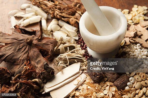 chinese herbal medicine with mortor and pestle on wood hz - herb stock pictures, royalty-free photos & images