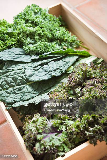 crate of freshly harvested kale vegetable varieties vt - kale bunch stock pictures, royalty-free photos & images