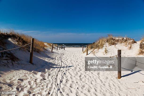 dunas de areia na polônia - cultura polonesa - fotografias e filmes do acervo