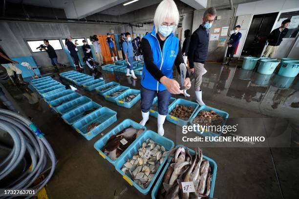 Iolanda Osvath, research scientist, one of member of a team of experts from the International Atomic Energy Agency observes baskets of fish during a...