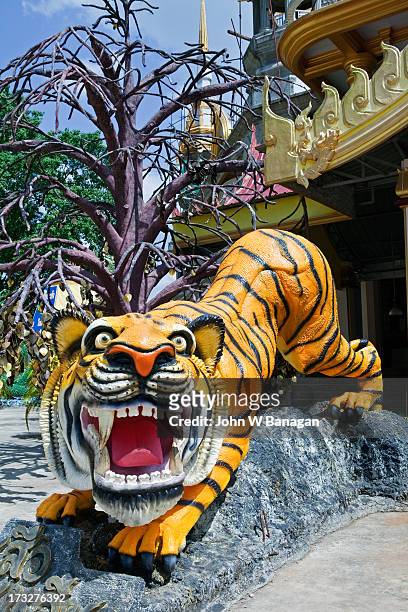tiger temple or wat tham sua. krabi, thailand - krabi stock pictures, royalty-free photos & images