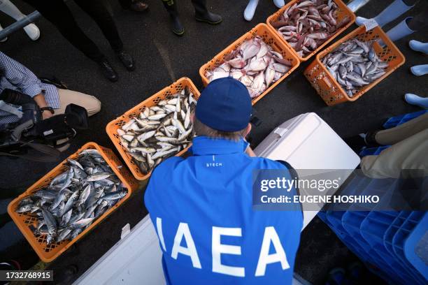 An inspector from the International Atomic Energy Agency observes baskets of fish to be taken as samples at Hisanohama Port in Iwaki, Japan's...