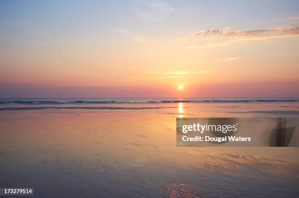 sunset at beach. - dougal waters 個照片及圖片檔